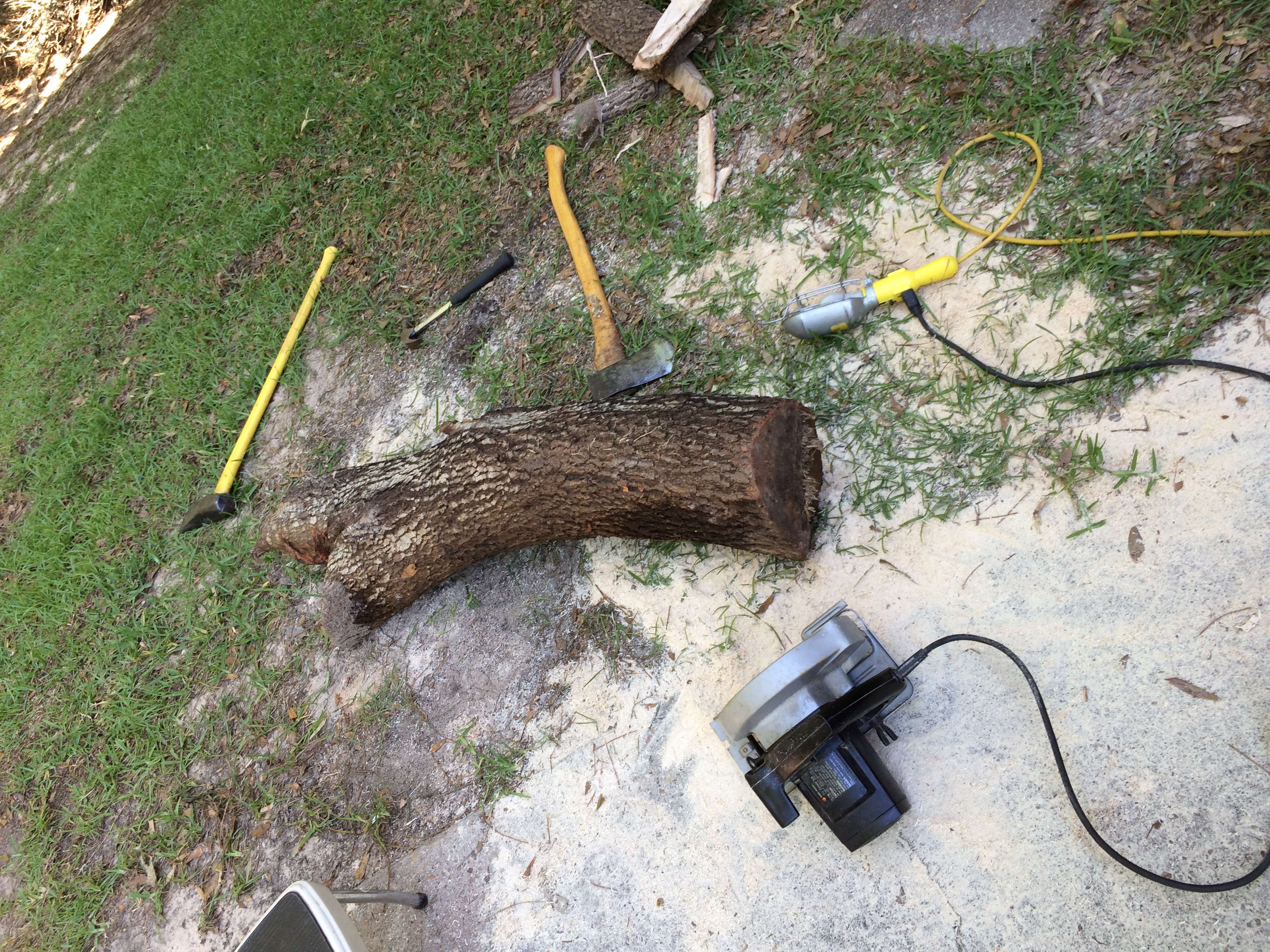 Treeboard 5